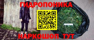 ПСИЛОЦИБИНОВЫЕ ГРИБЫ Конаково