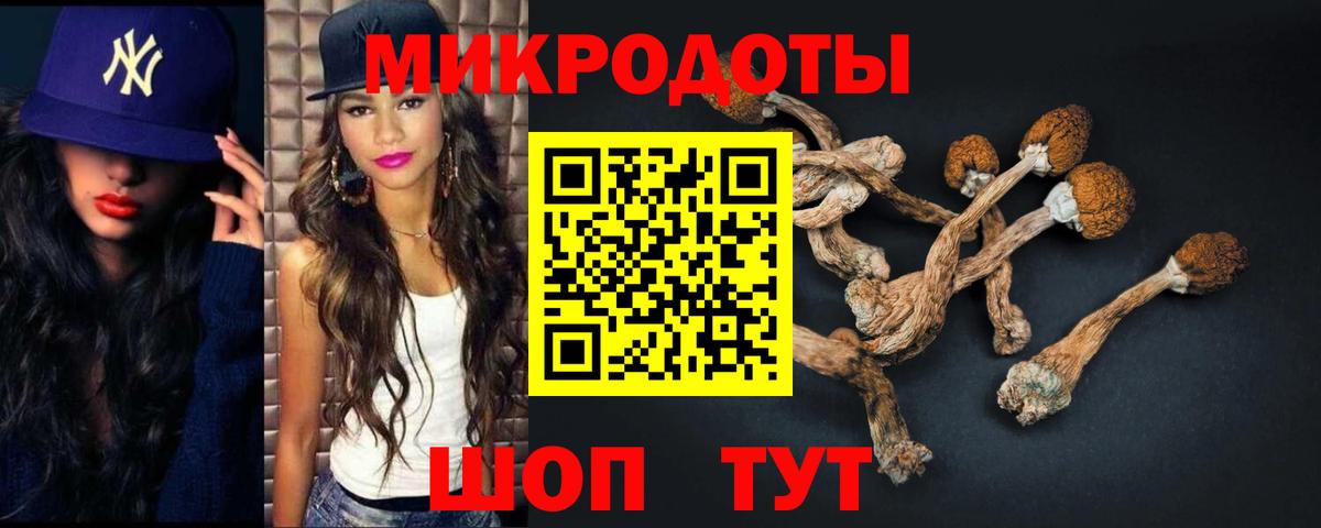 Волоколамск  наркота  Вход с VPN  Галлюциногенные грибы прущие грибы  Галлюциногенные грибы мухоморы 
